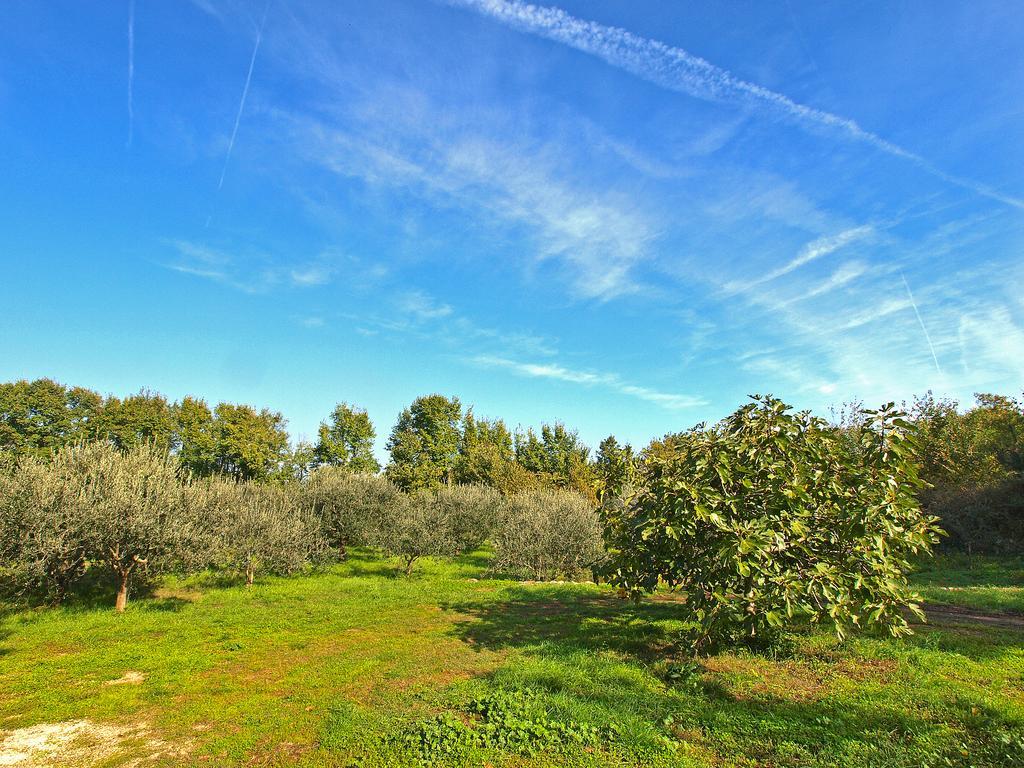 פאז'אנה Apartments Dragica 929 מראה חיצוני תמונה