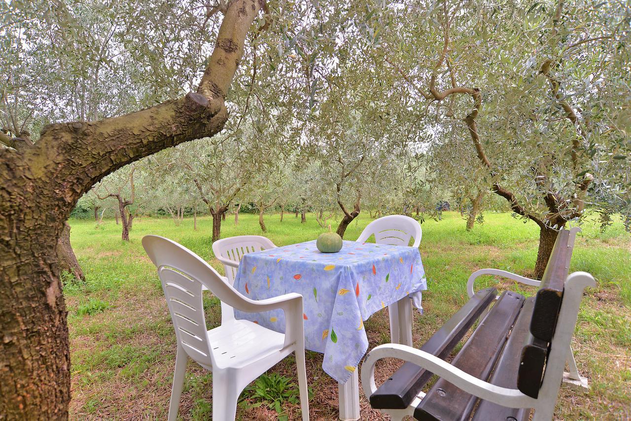 פאז'אנה Apartments Dragica 929 מראה חיצוני תמונה