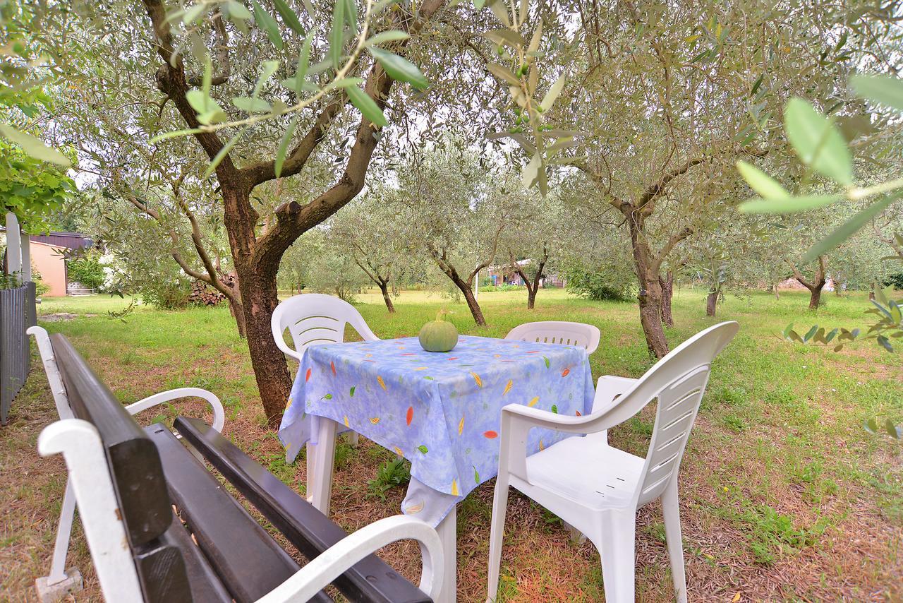 פאז'אנה Apartments Dragica 929 מראה חיצוני תמונה